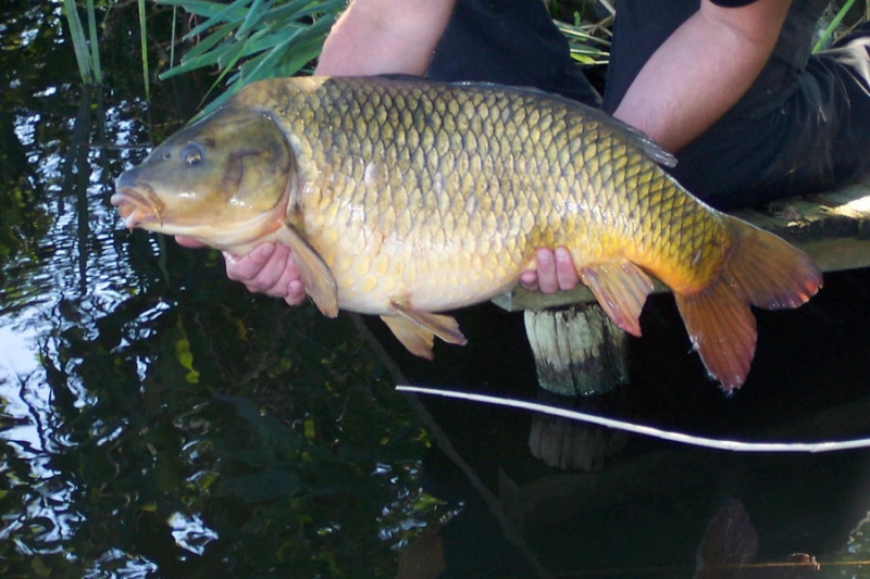 vangsten2005 _60_.JPG